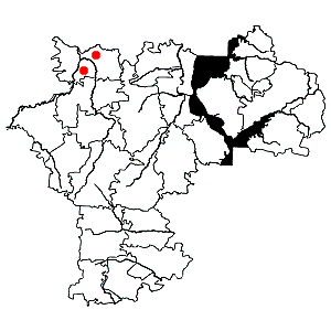 Схема распространения ризомниума ложноточечного на территории Ульяновской области