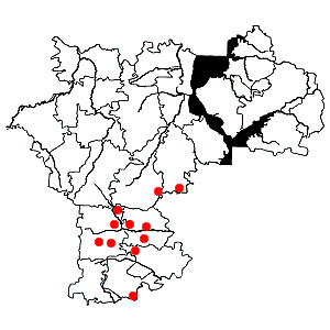 Схема распространения змеёвки растопыренной на территории Ульяновской области